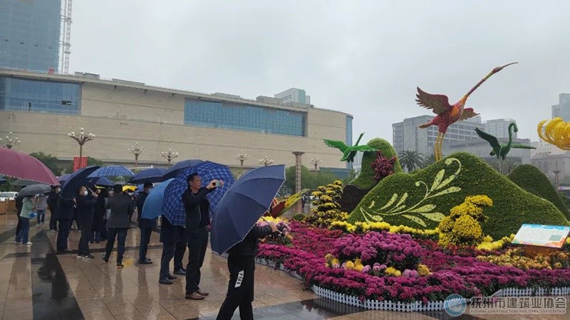 1669357620595775.jpg 14.jpg